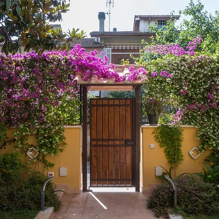 Viola Villa *